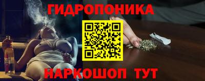 твердый Лесосибирск