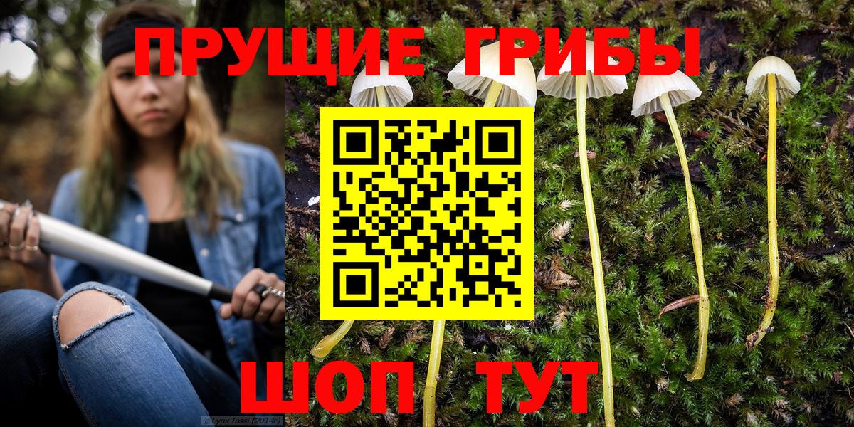 Галлюциногенные грибы GOLDEN TEACHER  цены наркотик  Вход с VPN  Дербент  Псилоцибиновые грибы мухоморы 