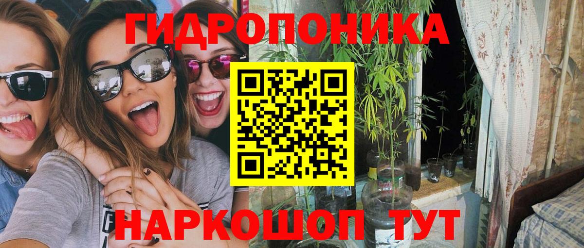 Бошки марихуана конопля Дербент